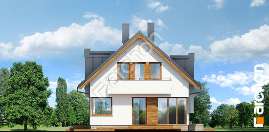 Боковой фасад Дом в амариллисах вер.2