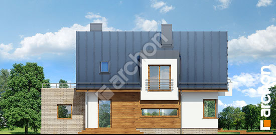 Дворовой фасад Дом в амариллисах вер.2