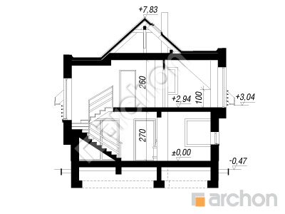 Проект дома ARCHON+ Дом в амариллисах вер.2 Розріз будинку