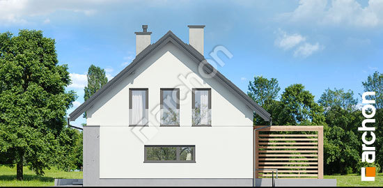 Бочний фасад Будинок у гвоздиках (П)