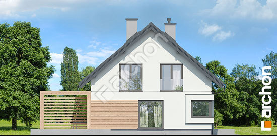 Бочний фасад Будинок у гвоздиках (П)