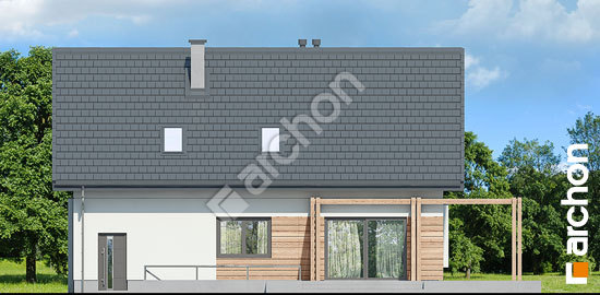 Дворовой фасад Дом в гвоздиках (П)