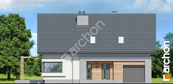 Передній фасад Будинок у гвоздиках (П)