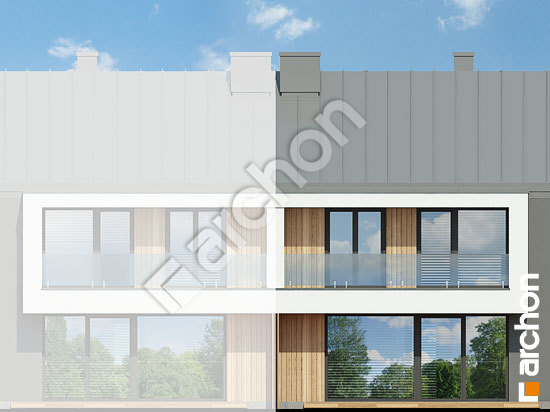 Дворовий фасад Будинок під міліном (С)