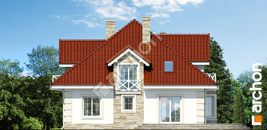 Дворовий фасад Будинок в тим'яні 3 вер.2