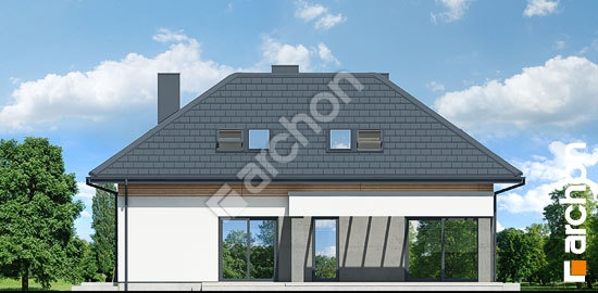 Дворовий фасад Будинок в підсніжниках 16 (Г2)