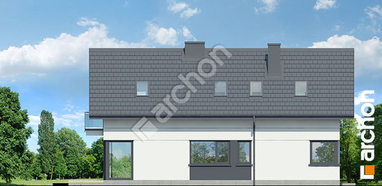 Боковой фасад Дом в ракитнике