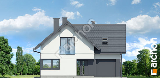 Передний фасад Дом в ракитнике