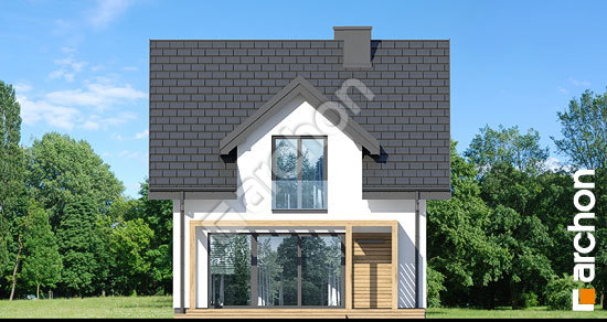 Дворовий фасад Будинок в брусниці 6