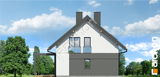 Боковой фасад Дом в малиновках 37