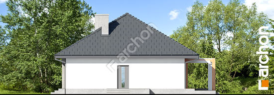 Бочний фасад Будинок в медовій траві