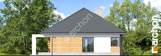 Боковой фасад Дом в медовой траве