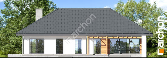 Дворовий фасад Будинок в медовій траві