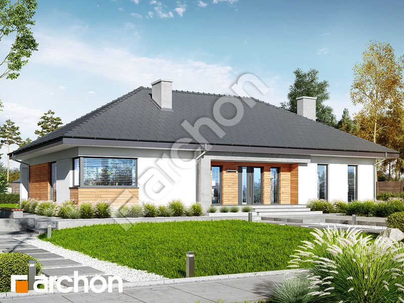Проект будинку ARCHON+ Будинок в медовій траві Вид 1