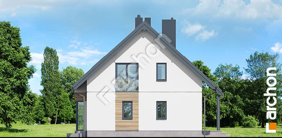 Боковой фасад Дом в папоротнике вер.2