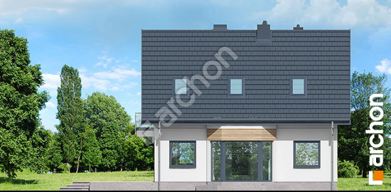 Дворовий фасад Будинок в папороті вер. 2