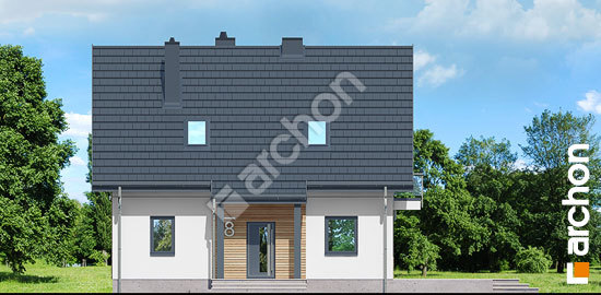 Передний фасад Дом в папоротнике вер.2