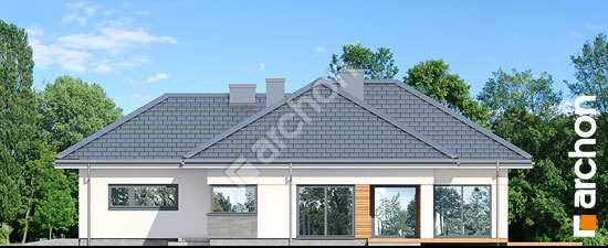 Бочний фасад Будинок в старках (Г2)