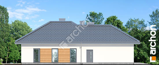 Бочний фасад Будинок в старках (Г2)