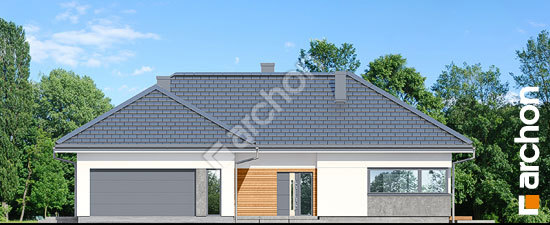 Передній фасад Будинок в старках (Г2)