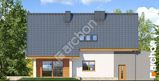 Дворовой фасад Дом в айдаредах 8 (Г2П)