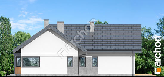 Бочний фасад Будинок в галах 5