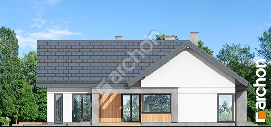 Бочний фасад Будинок в галах 5