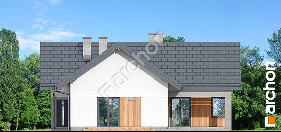 Дворовий фасад Будинок в галах 5