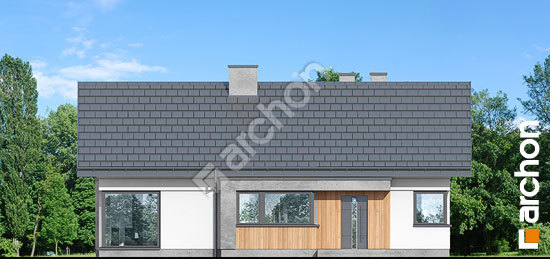 Передній фасад Будинок в галах 5