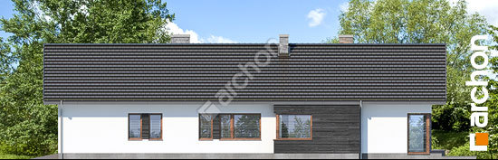 Бочний фасад Будинок в клівіях 4 (Г2)