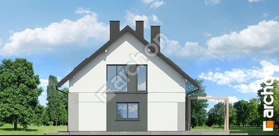 Боковой фасад Дом в лилиях