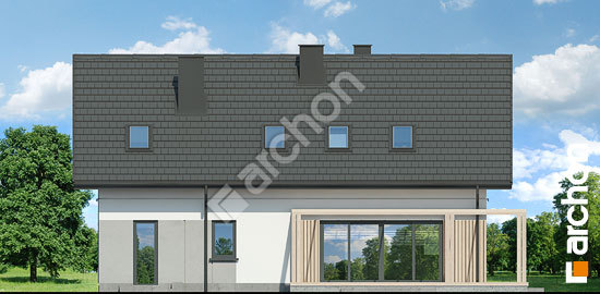 Дворовий фасад Будинок в ліліях