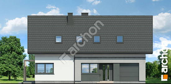 Передній фасад Будинок в ліліях