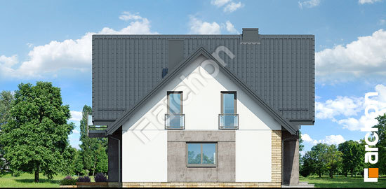 Боковой фасад Дом в орлишках