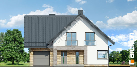 Передний фасад Дом в орлишках