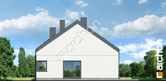 Бочний фасад Будинок в нарахнілах 4