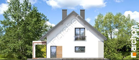 Боковой фасад Дом в дицентрах (Г2)