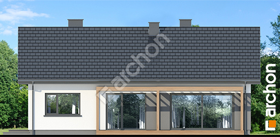 Дворовой фасад Дом под красной рябиной 24 (A)