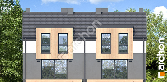 Дворовий фасад Будинок у катранах 2 (Р2)