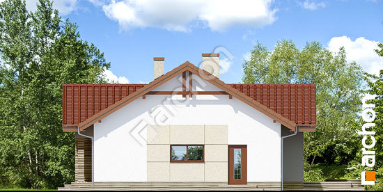 Боковой фасад Дом в неринах 3