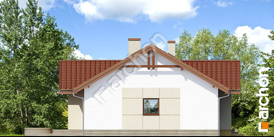 Боковой фасад Дом в неринах 3