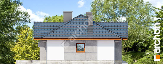 Бочний фасад Будинок в нерінах 5