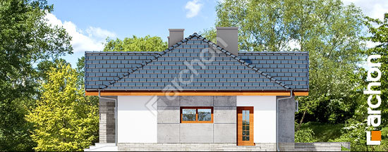 Боковой фасад Дом в неринах 5