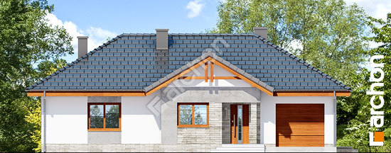 Передний фасад Дом в неринах 5