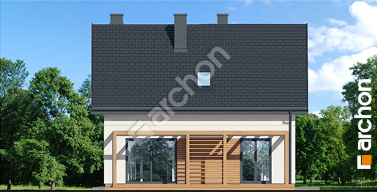 Дворовий фасад Будинок в хлорофітумі 26 ВДЕ