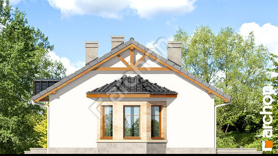 Боковой фасад Дом в ягодах вер.2