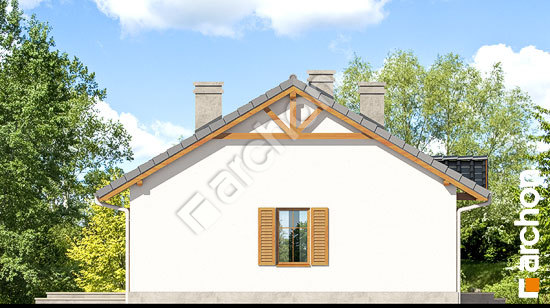 Боковой фасад Дом в ягодах вер.2