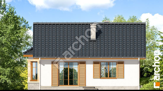 Дворовой фасад Дом в ягодах вер.2