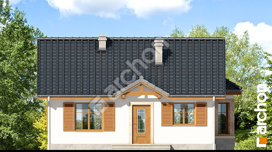 Передній фасад Будинок в ягодах вер.2