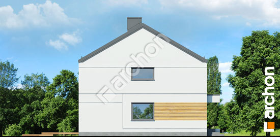 Бочний фасад Будинок в тунбергіях (Р2)